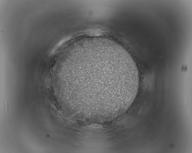 X0000111631446200908141331