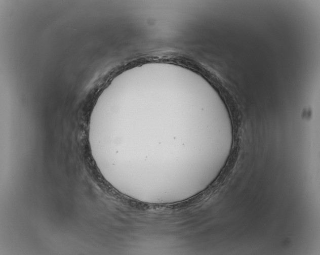 X0000111631447200908141331