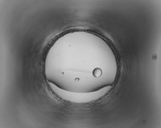 X0000111631448200908141331