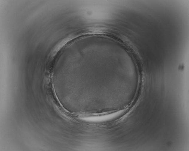 X0000111631449200908141331