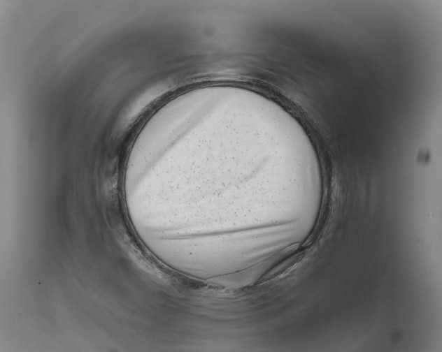 X0000111631450200908141331