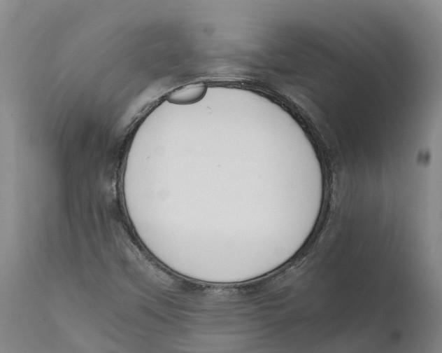 X0000111631451200908141331