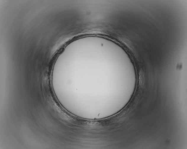 X0000111631452200908141331