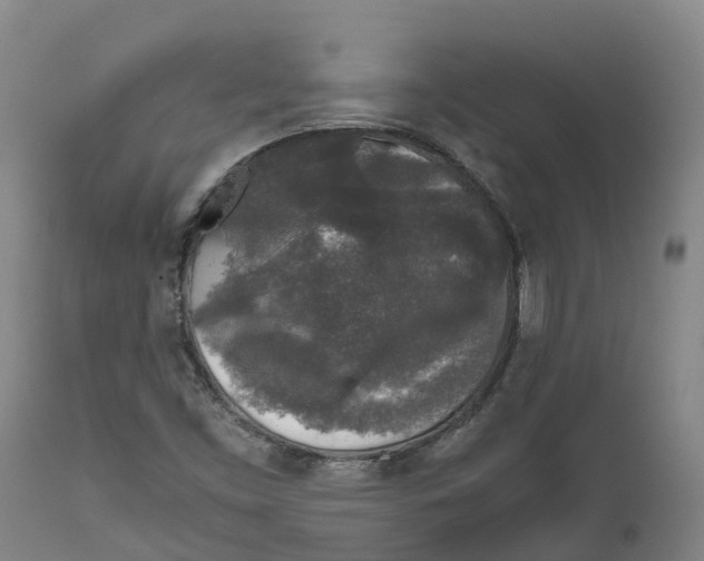 X0000111631453200908141331