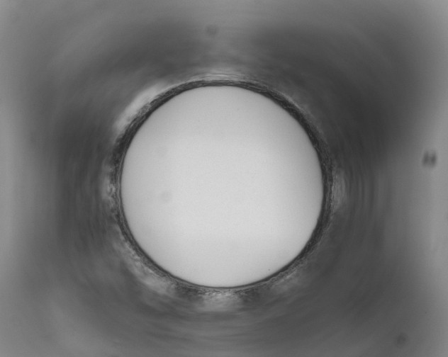X0000111631454200908141331