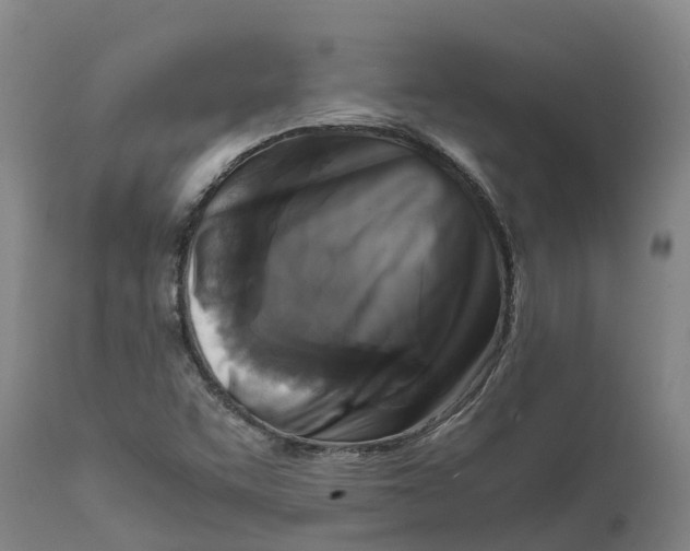 X0000111631455200908141331