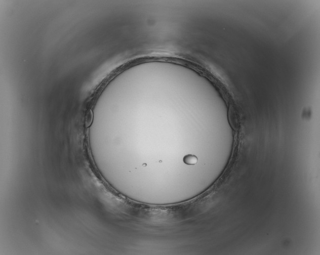 X0000111631456200908141331