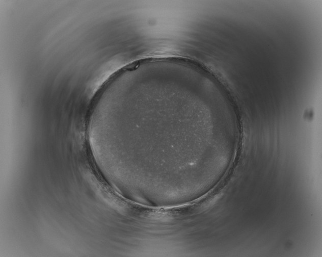 X0000111631457200908141331