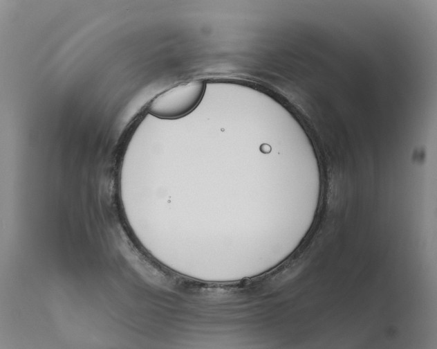 X0000111631458200908141331
