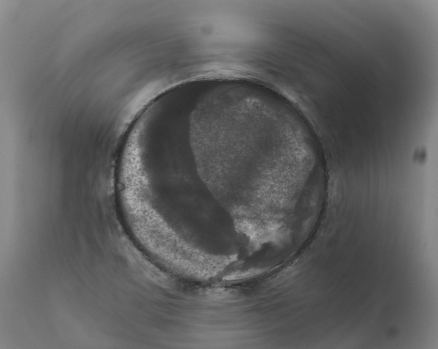 X0000111631459200908141331