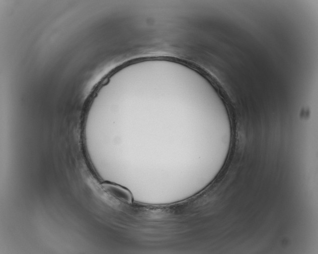 X0000111631460200908141331