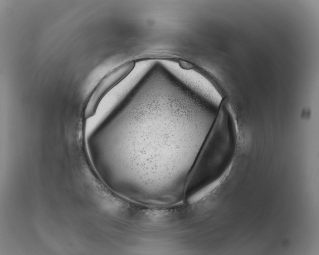X0000111631461200908141331