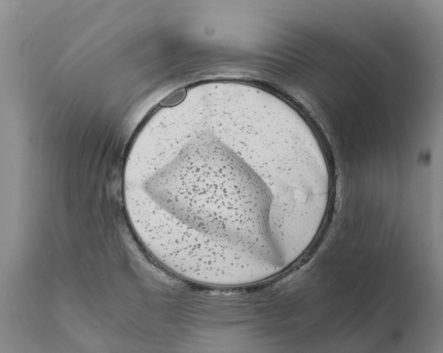X0000111631465200908141331