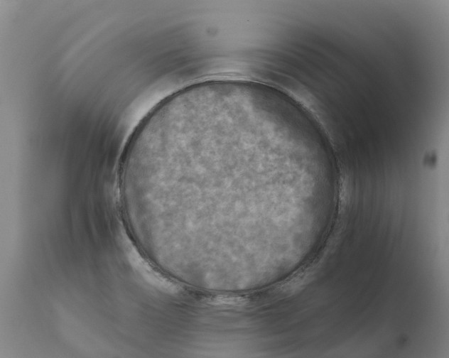 X0000111631466200908141331