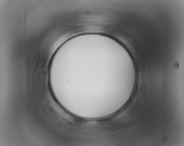 X0000111631467200908141331