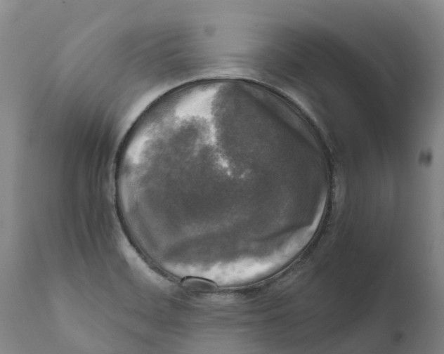 X0000111631468200908141331