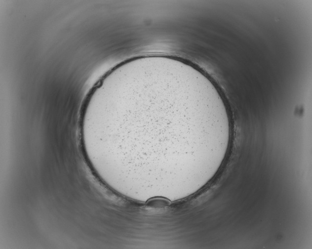 X0000111631469200908141331