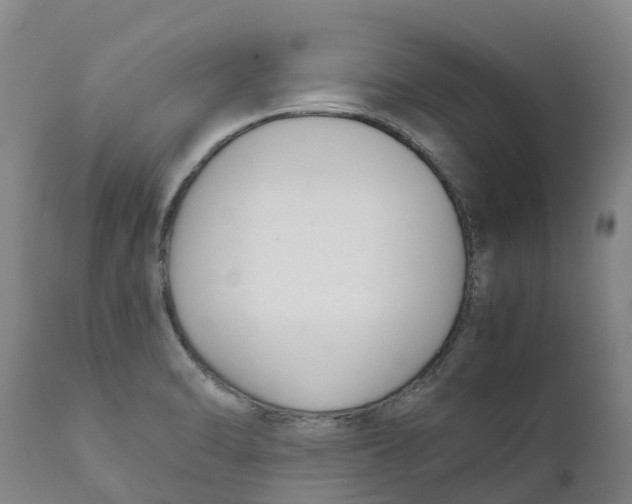 X0000111631470200908141331