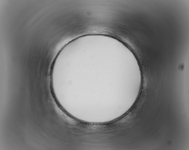 X0000111631471200908141331