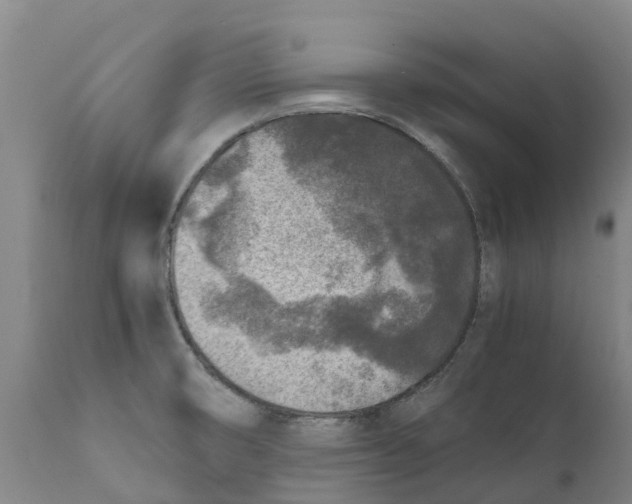 X0000111631474200908141331