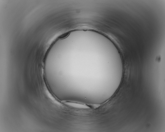 X0000111631476200908141331
