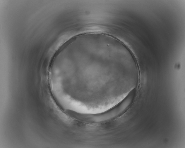 X0000111631477200908141331