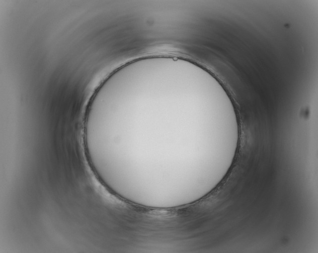X0000111631478200908141331