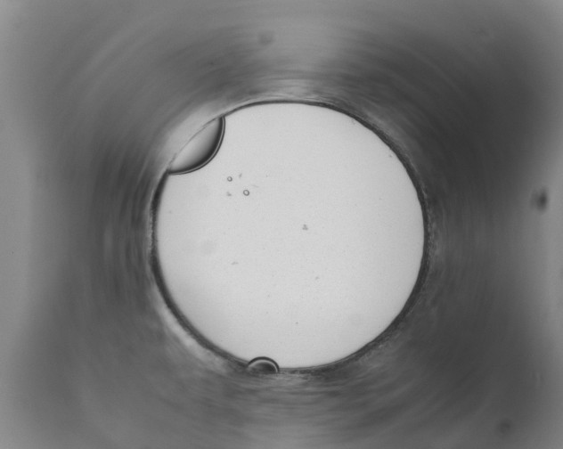 X0000111631479200908141331