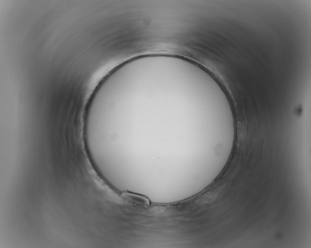 X0000111631480200908141331