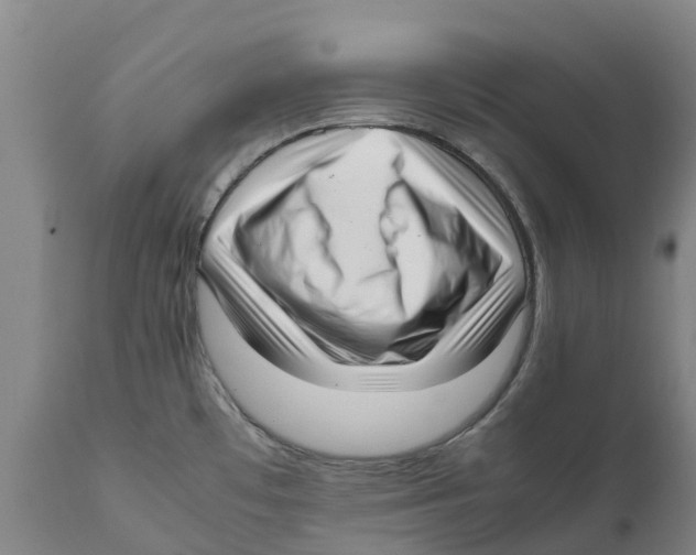 X0000111631481200908141331