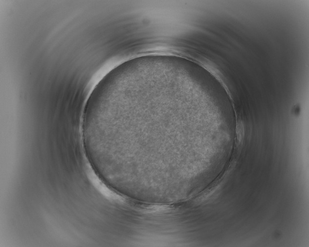 X0000111631482200908141331