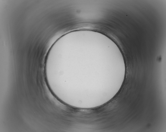 X0000111631483200908141331