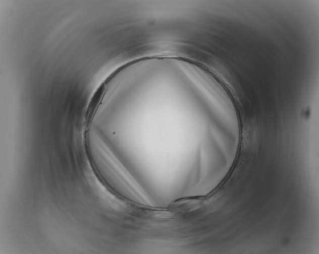 X0000111631484200908141331