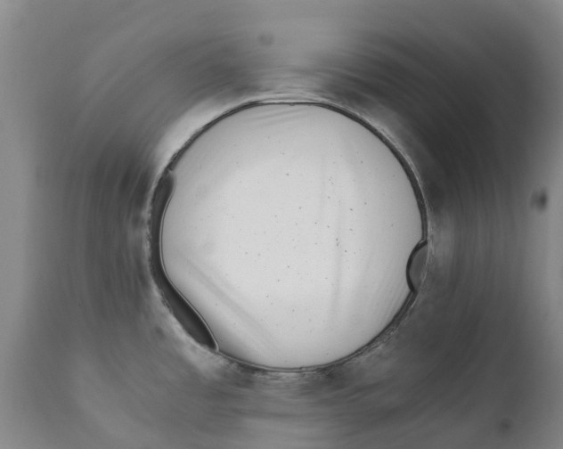 X0000111631485200908141331