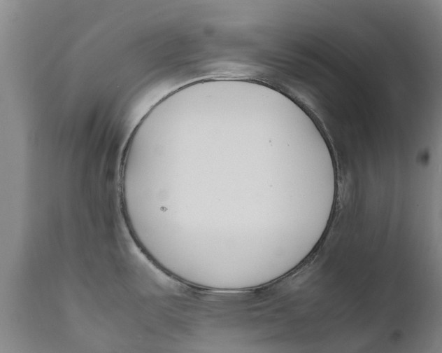 X0000111631487200908141331