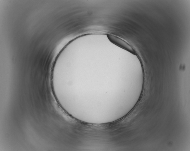 X0000111631488200908141331