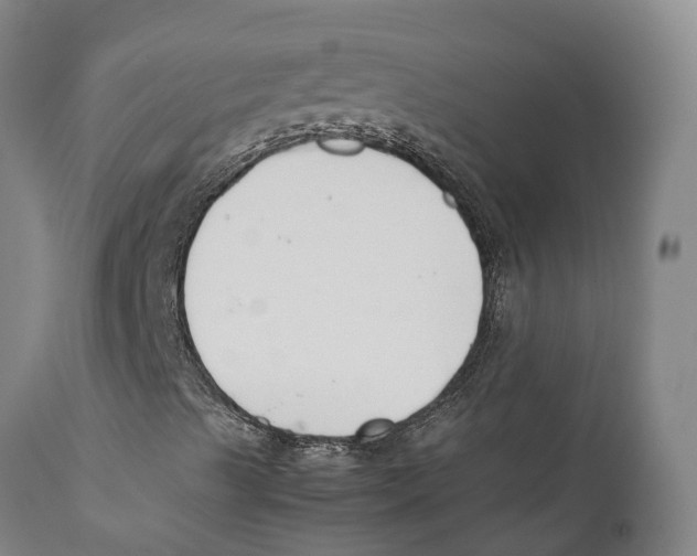 X0000111631489200908141330
