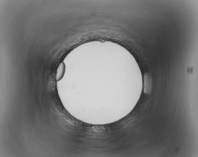 X0000111631491200908141330