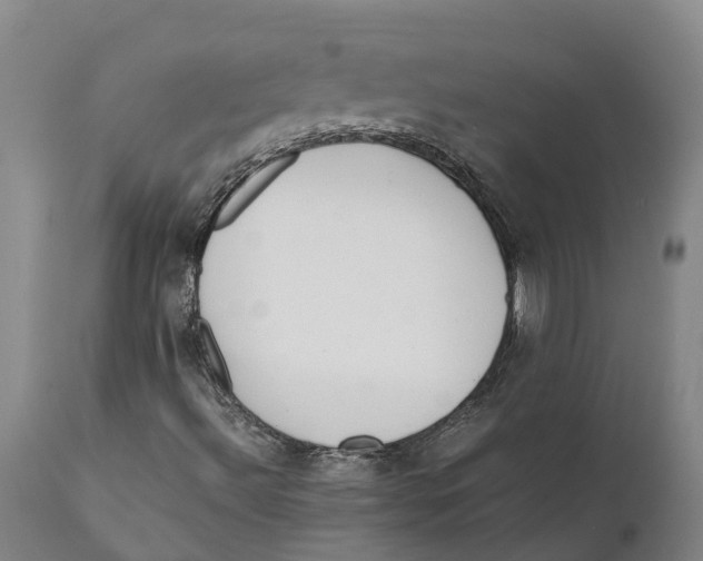 X0000111631492200908141330