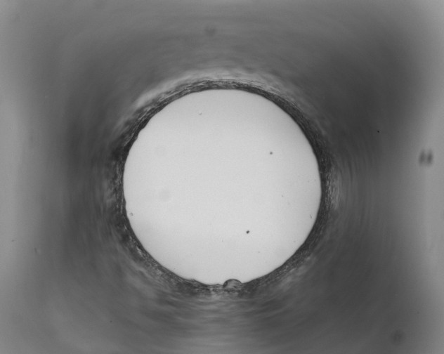 X0000111631494200908141330