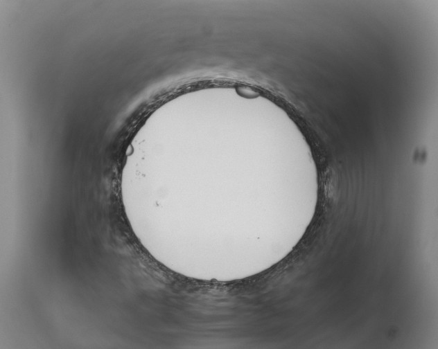 X0000111631495200908141330