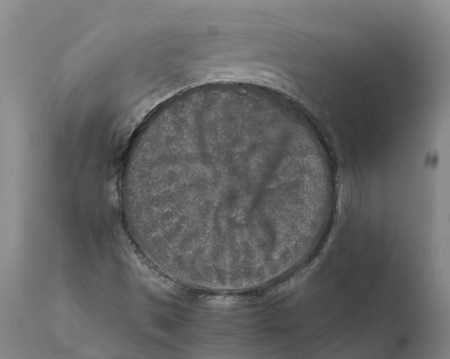 X0000111631497200908141330