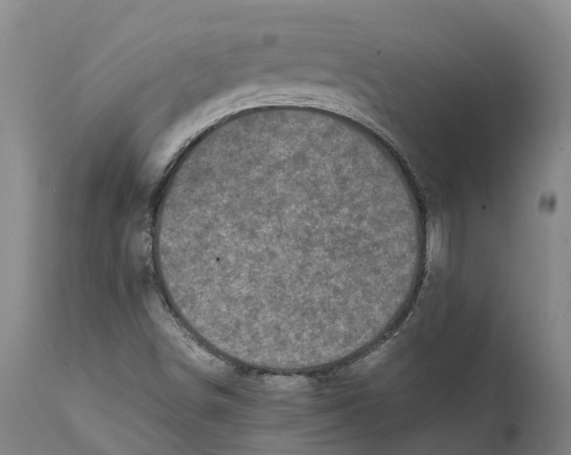 X0000111631498200908141330