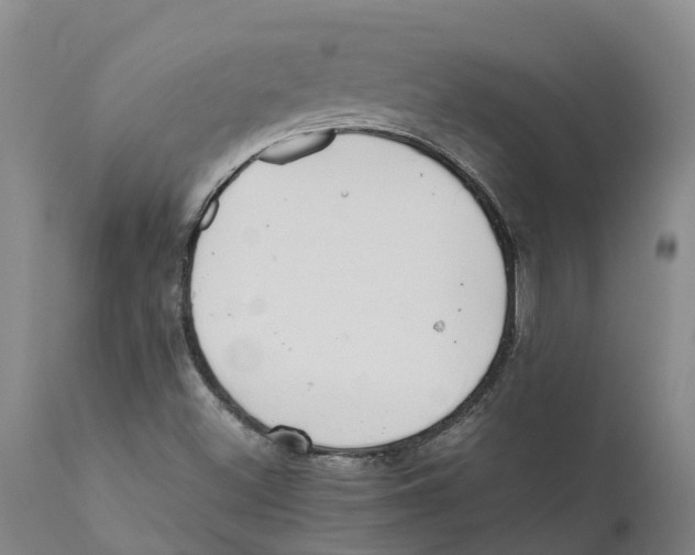 X0000111631500200908141330