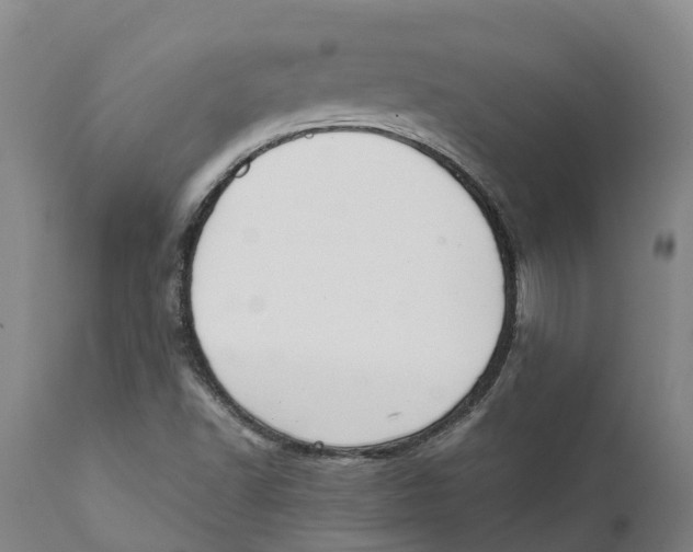 X0000111631502200908141330