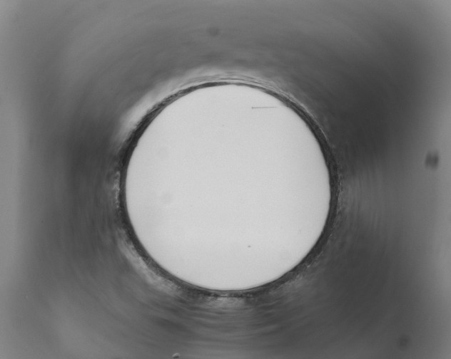 X0000111631503200908141330