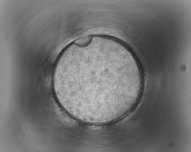 X0000111631505200908141330