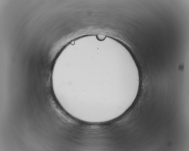 X0000111631507200908141330