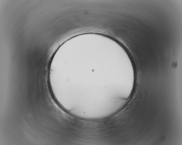 X0000111631508200908141330