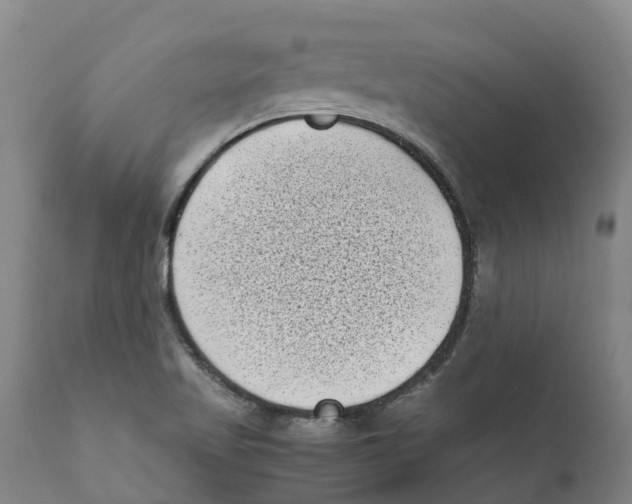 X0000111631509200908141330